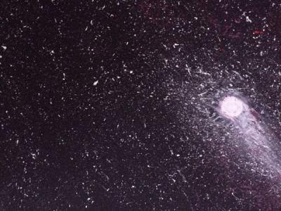 â€“ Ohne Titel â€“