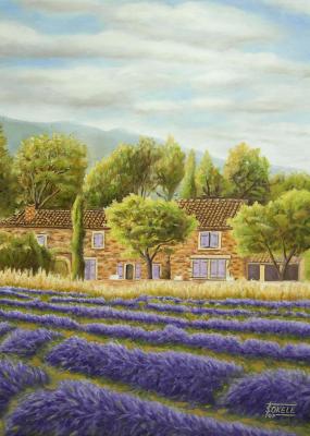 Lavendel in der Provence