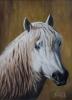 Franz Sokele - Wildpferd, Camargue