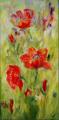 Zauberhafter Mohn
