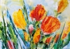 SPRING COLORS